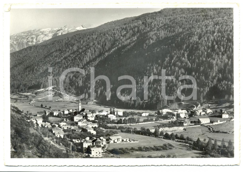 Cartolina originale da collezione 1969 PELLIZZANO TN Panorama con dolomiti Cartolina postale FG VG 1