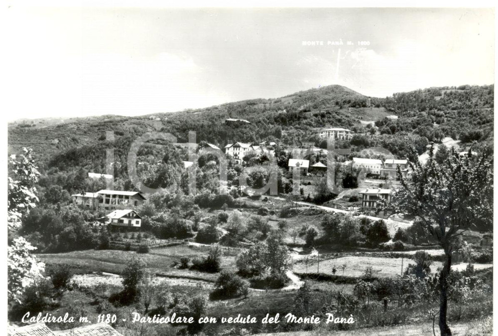 Cartolina originale da collezione 1966 CALDIROLA AL Panorama con monte PANA    Cartolina FG VG 1