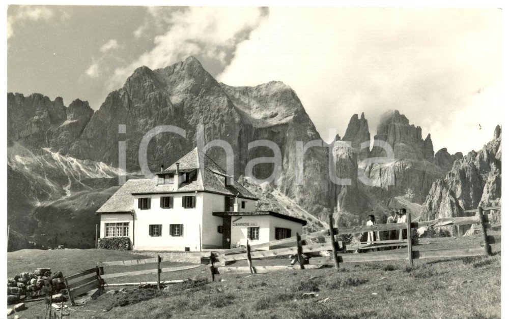 Cartolina originale da collezione 1955 VIGO DI FASSA TN Panorama con rifugio CIAMPEDIE Cartolina FP VG ANIMATA 1