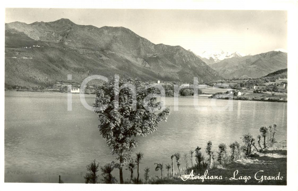 Cartolina originale da collezione 1951 AVIGLIANA TO Veduta panoramica sul lago GRANDE Cartolina postale  FP VG 1
