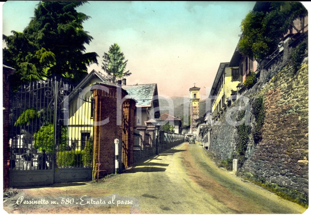 Cartolina originale da collezione 1956 PESSINETTO TO Entrata del paese ANIMATA Cartolina FG VG 1