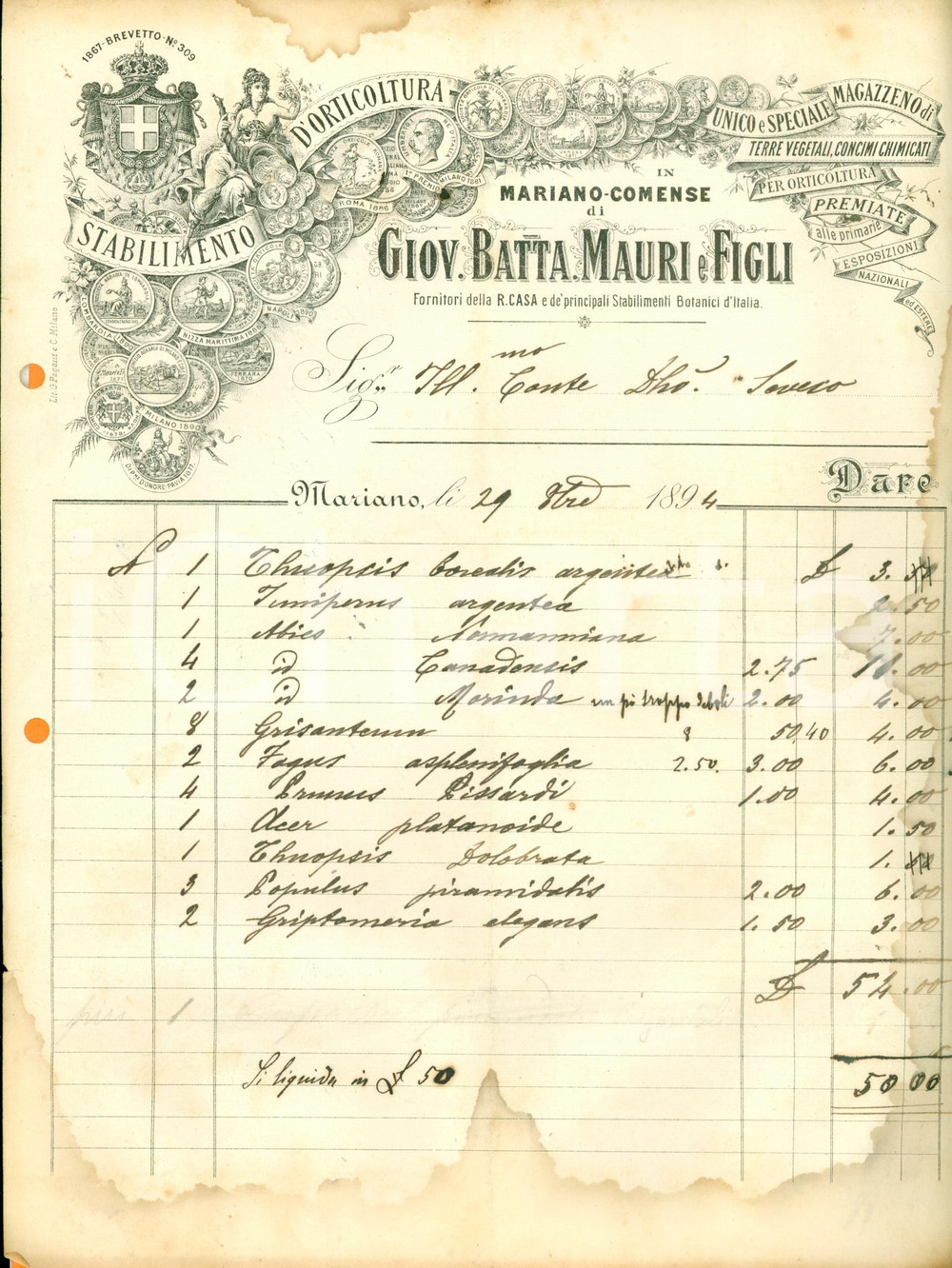 Documento originale, autentico 1894 MARIANO COMENSE Giovanni Battista MAURI & Figli botanici Real Casa Fattura 1