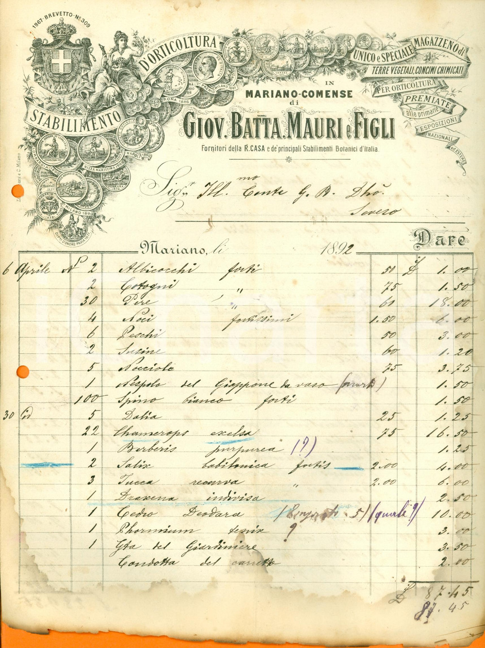 Documento originale, autentico 1892 MARIANO COMENSE Giovanni Battista MAURI & Figli botanici Real Casa Fattura 1
