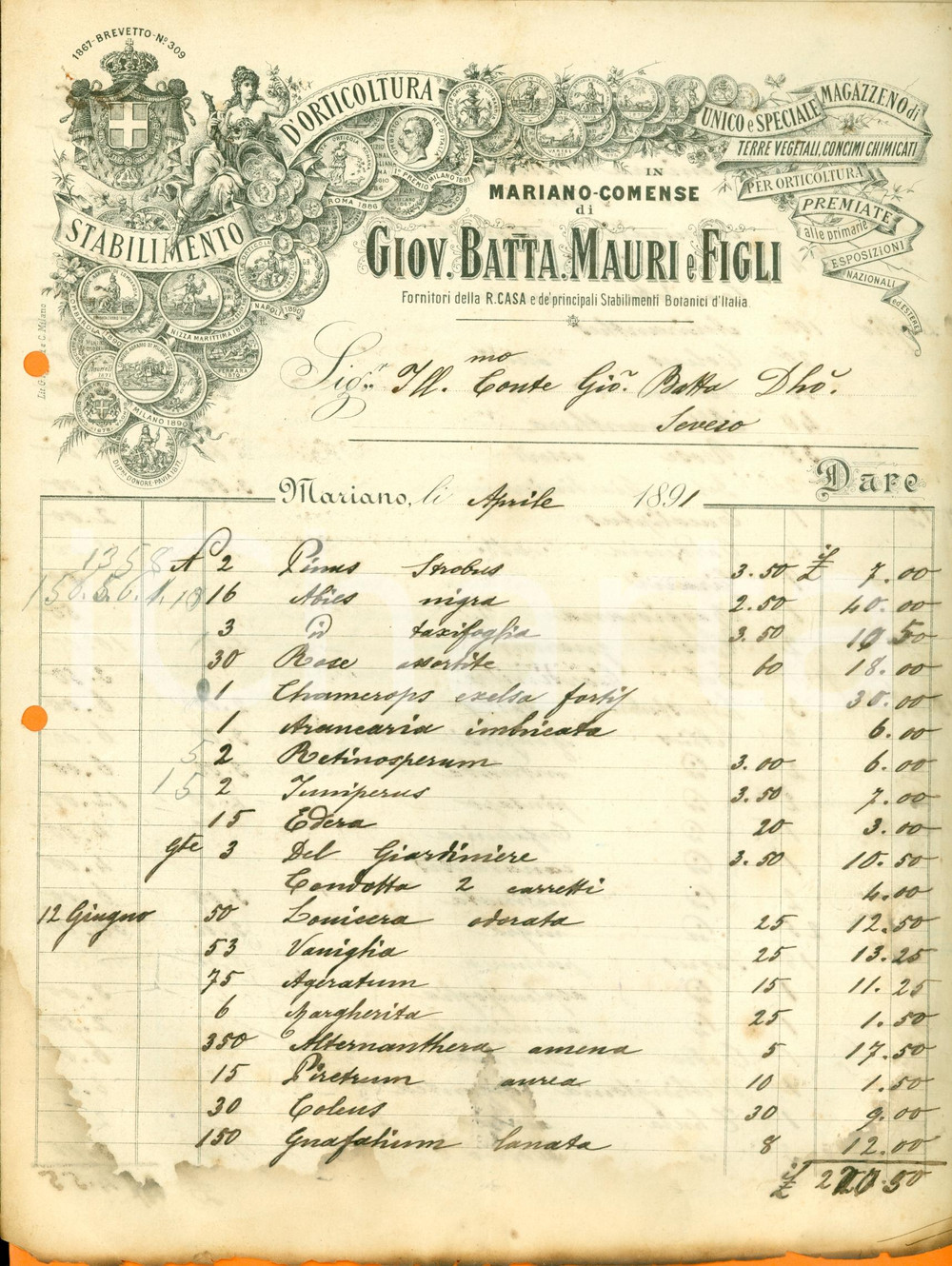 Documento originale, autentico 1891 MARIANO COMENSE Giovanni Battista MAURI & Figli botanici Real Casa Fattura 1