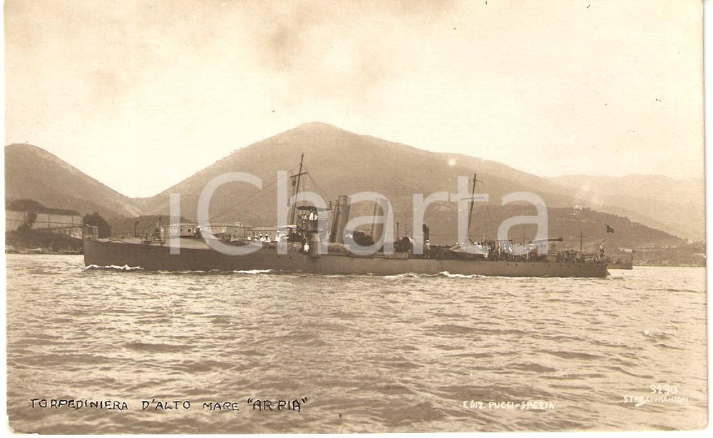 Cartolina originale da collezione 1920 ca LA SPEZIA Regia Nave ARPIA Torpediniera MARINA MILITARE Cartolina FP NV 1