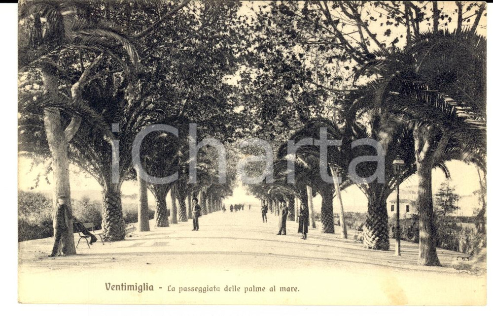 Cartolina originale da collezione 1923 VENTIMIGLIA IM Passeggiata delle palme al mare Cartolina FP VG 1