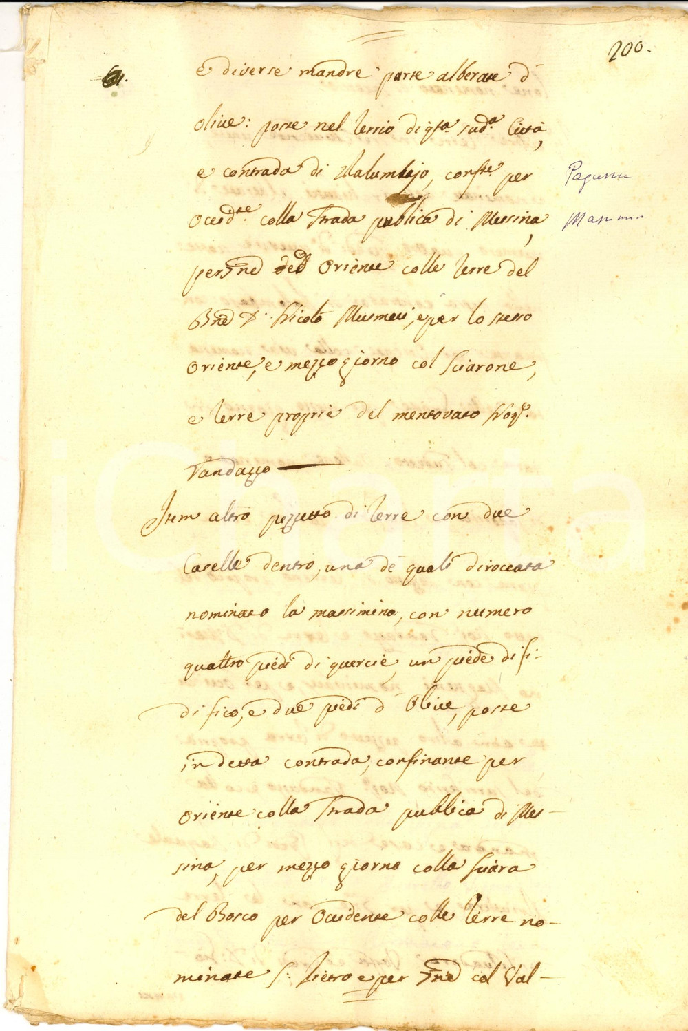 Documento originale, autentico 1804 ACIREALE CT Antonio RANDAZZO affitta terre a gabelloti SCANDURA 1