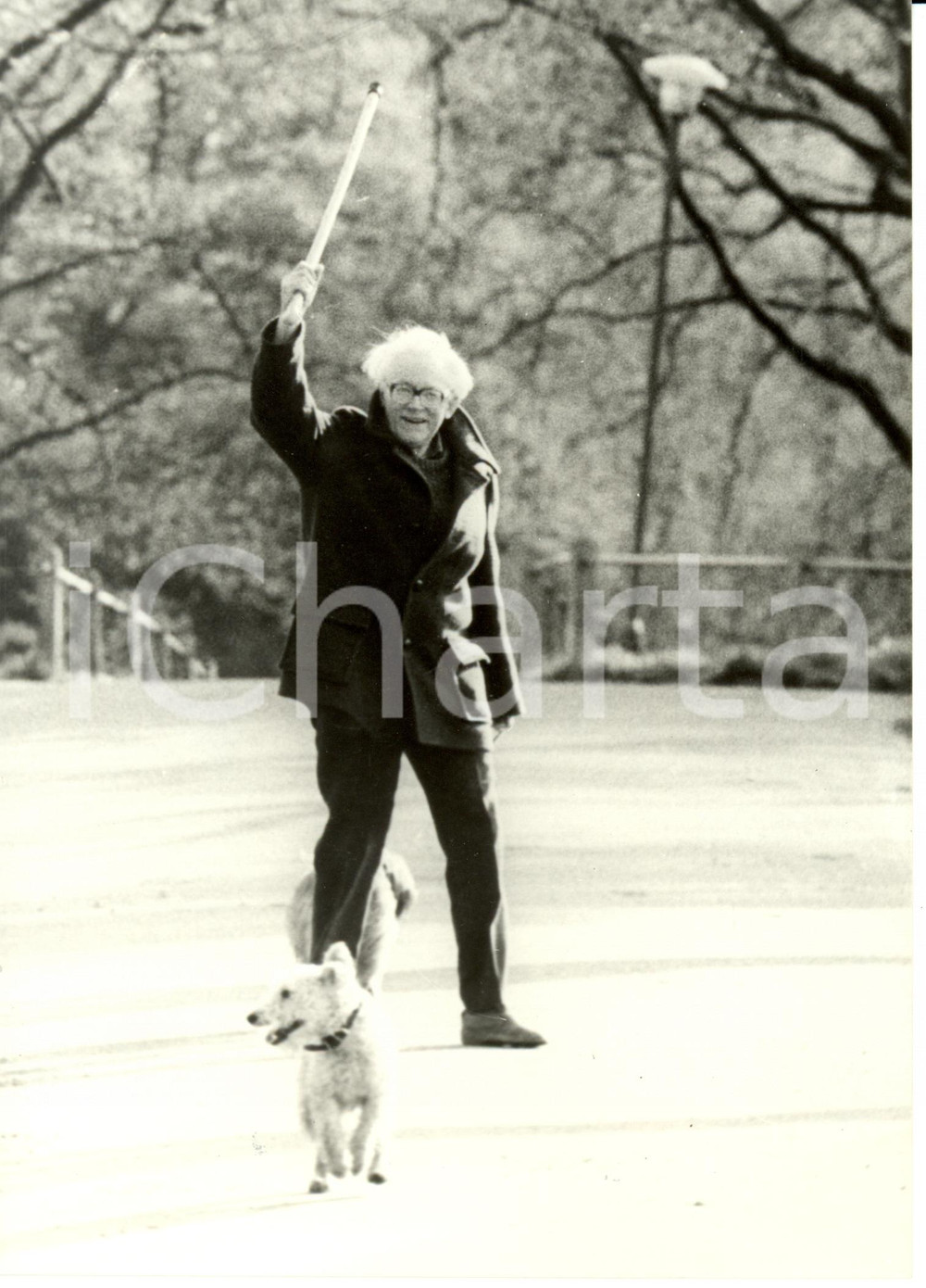 Fotografia d epoca originale 1983 LONDON Hampstead Heath Michael FOOT LABURISTA alza bastone contro TORIES 1