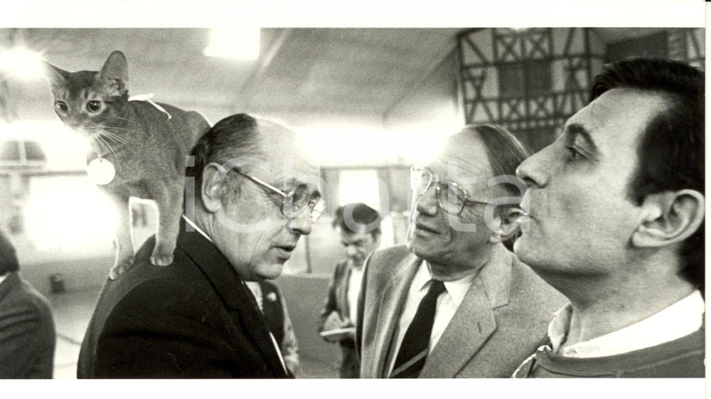 Fotografia d epoca originale 1984 COLMAR Henri GOETSCHY Presidente ALTO RENO ad una mostra di 350 gatti Foto 1