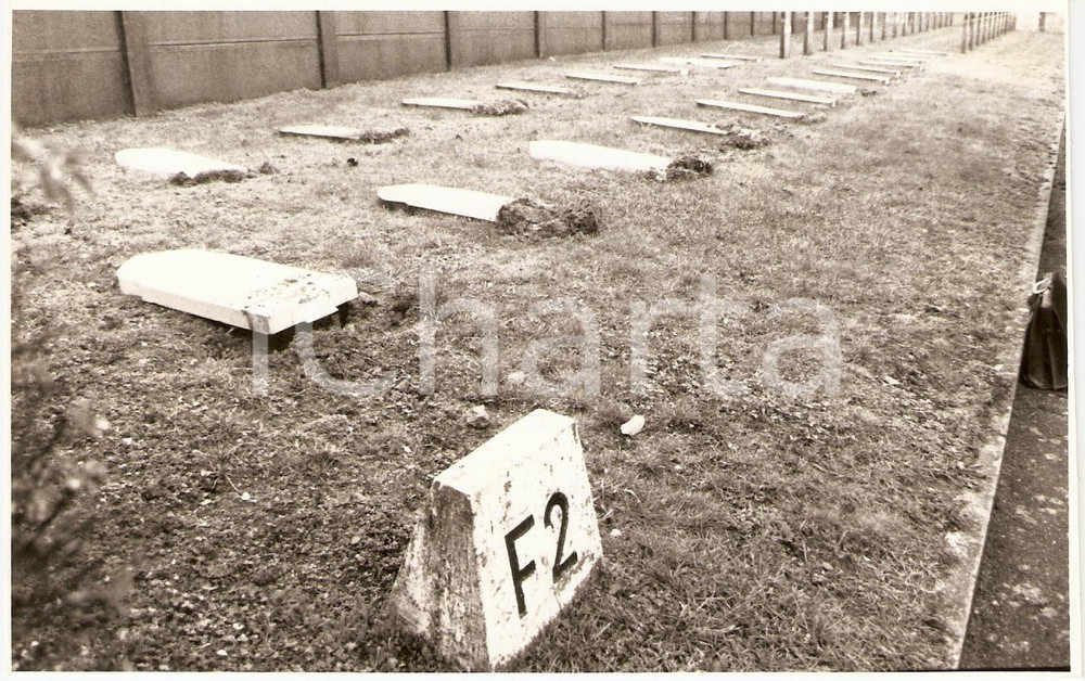 1992 MULHOUSE (FRANCE) Cimitière Militaire des VALLONS Profanation *Photographie