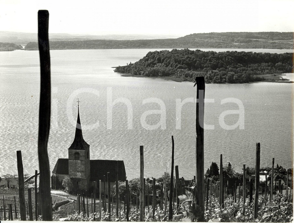Fotografia d epoca originale 1960 ca LIGENZ CH LAGO DI BIENNA Veduta lago e Isola di SAN PIETRO Fotografia 1
