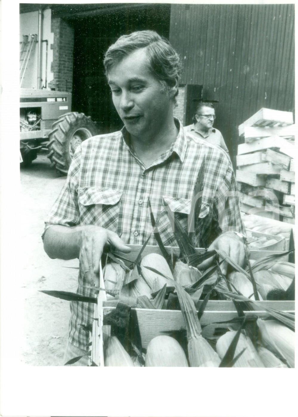 Fotografia d epoca originale 1990 ca ALSACE FRANCE Coltivatore mostra raccolto delle pannocchie Fotografia 1