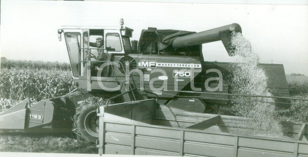 Fotografia d epoca originale 1982 ALSACE FRANCE Macchina per raccolta grano MASSEY FERGUSON 750 Fotografia 1