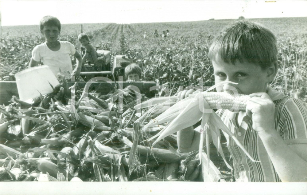 Fotografia d epoca originale 1987 BOSSENDORF FRANCE Bambini mangiano pannocchie nei campi Fotografia 1