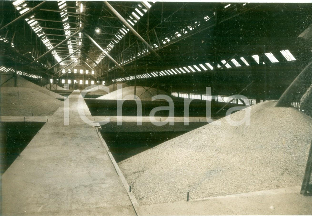 Fotografia d epoca originale 1992 OTTMARSHEIM FRANCE Gigantesche vasche di raccolta del mais Fotografia 1