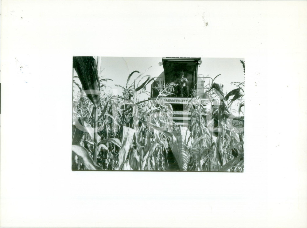 Fotografia d epoca originale 1990 ca ALSACE FRANCE Trattore CLAAS DOMINATOR raccoglie mais Foto artistica 1