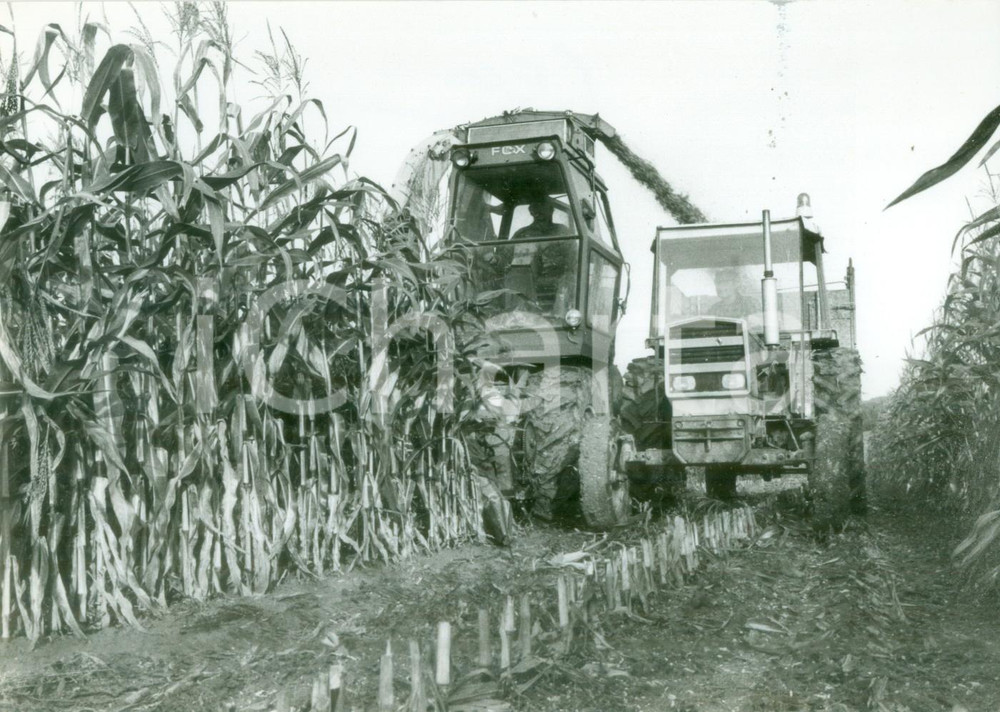Fotografia d epoca originale 1983 ALSACE FRANCE Macchine agricole FOX al lavoro nei campi Fotografia 1