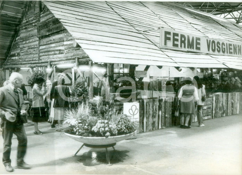 Fotografia d epoca originale 1984 MULHOUSE F La tradizionale  Ferme Vosgienne Fotografia 1