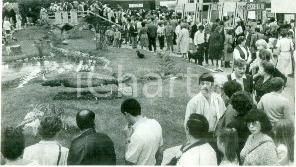 Fotografia d epoca originale 1984 MULHOUSE F Luccio esposto alle JournÃ©es d Octobre Fotografia 1