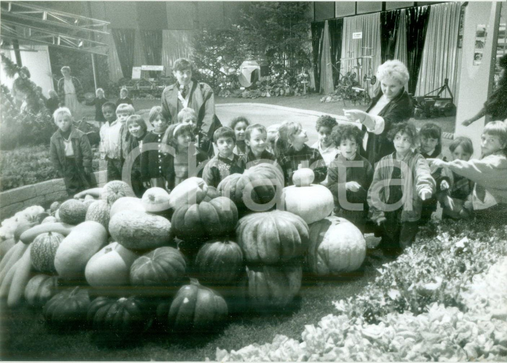 Fotografia d epoca originale 1990 ca MULHOUSE F Scolaresca osserva zucche alle JournÃ©es d Octobre Foto 1