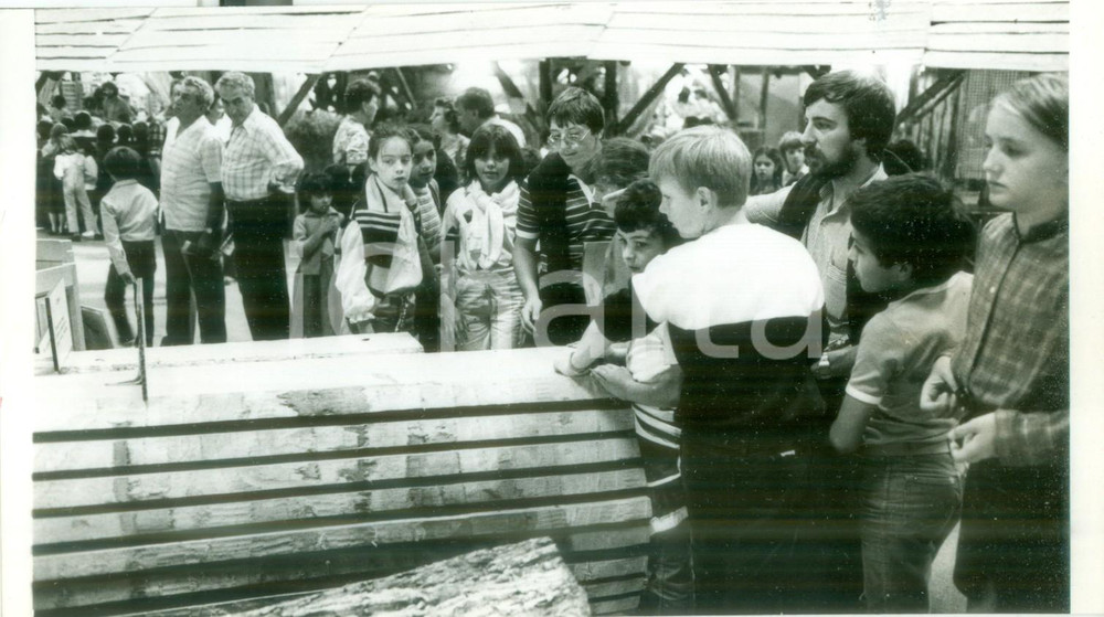 Fotografia d epoca originale 1990 ca MULHOUSE F Lezioni di segheria alle JournÃ©es d Octobre Fotografia 1