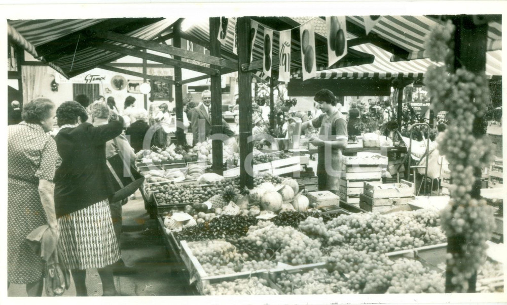Fotografia d epoca originale 1984 MULHOUSE F Mercato dell uva alle JournÃ©es d Octobre Fotografia 1