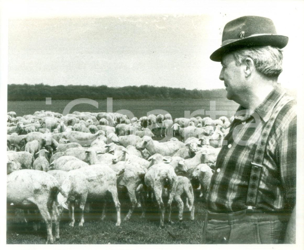 Fotografia d epoca originale 1980 DIETWILLER FRANCE Pastori Daniel GROSSHAAS con il suo gregge Fotografia 1