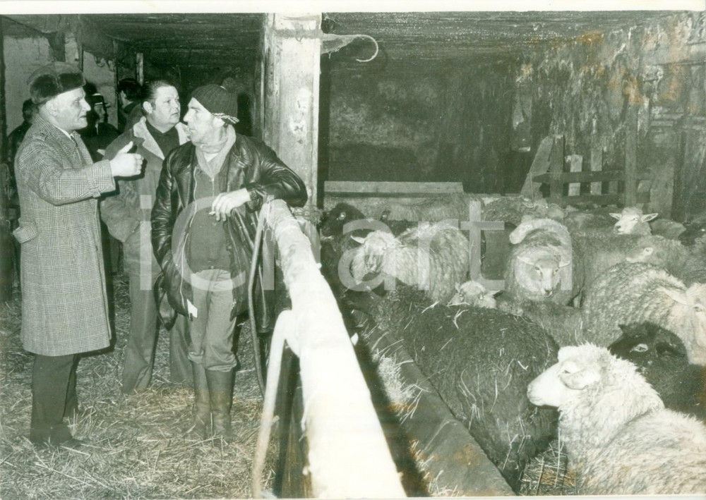 Fotografia d epoca originale 1980 DIETWILLER FRANCE Pastori al recinto dei montoni Fotografia 1