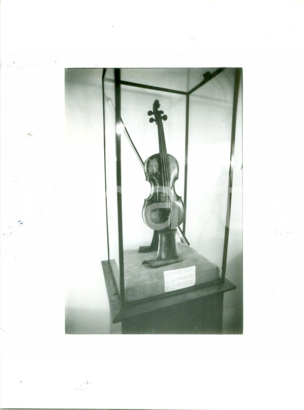 Fotografia d epoca originale 1990 ca SALZBURG AUSTRIA Casa natale di MOZART Violino esposto in teca Foto 1