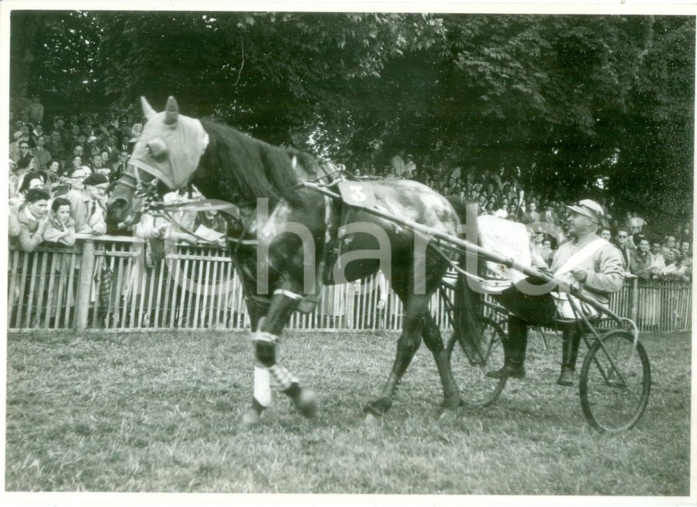 Cartolina originale da collezione 1950 SVIZZERA EQUITAZIONE Fantino con sulky sfila davanti al pubblico Cartolina 1