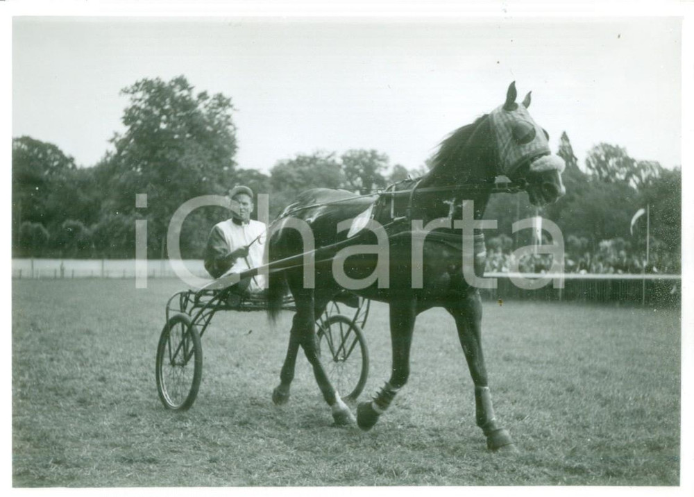 Cartolina originale da collezione 1955 ca SVIZZERA EQUITAZIONE Fantino al trotto con sulky Cartolina FG NV 1