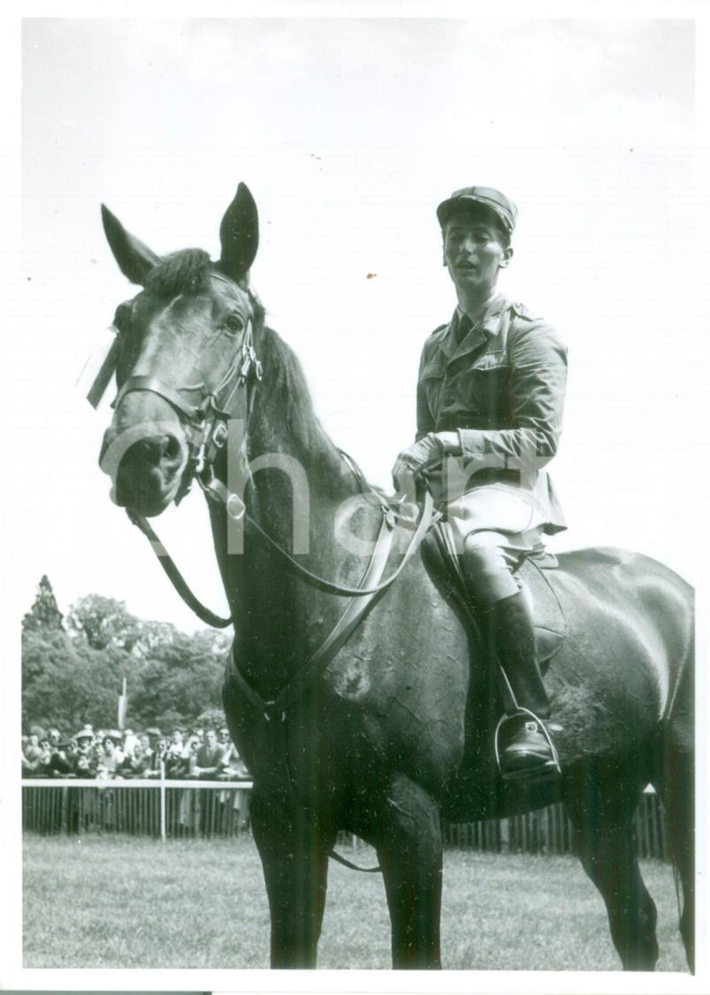 Cartolina originale da collezione 1955 ca SVIZZERA EQUITAZIONE Fantino in sella al suo cavallo Cartolina FG NV 1