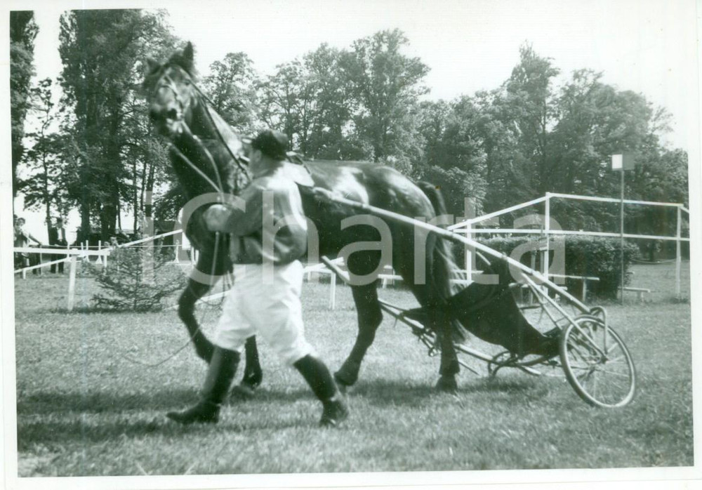 Fotografia d epoca originale 1955 ca SVIZZERA EQUITAZIONE Fantino riporta sulky al peso Fotografia 1