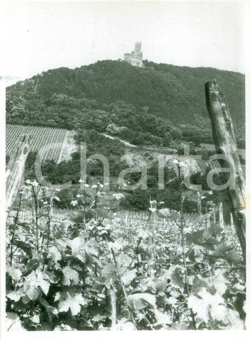 Fotografia d epoca originale 1970 ca ORTENBERG GERMANIA Veduta di un castello Fotografia 1
