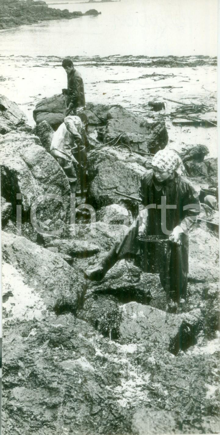 Fotografia d epoca originale 1978 BRETAGNA FRANCIA Volontari al lavoro sulla costa inquinata Fotografia 1