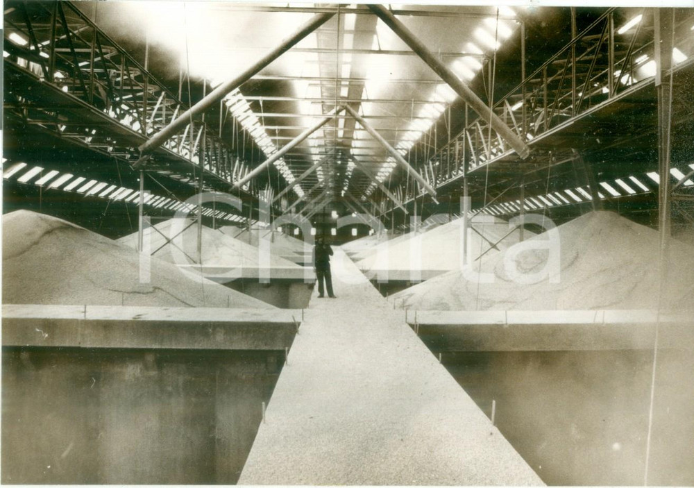 Fotografia d epoca originale 1992 OTTMARSHEIM FRANCE Depositi del grano Fotografia 1