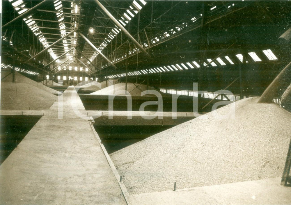 Fotografia d epoca originale 1992 OTTMARSHEIM FRANCE I depositi del grano Fotografia 1