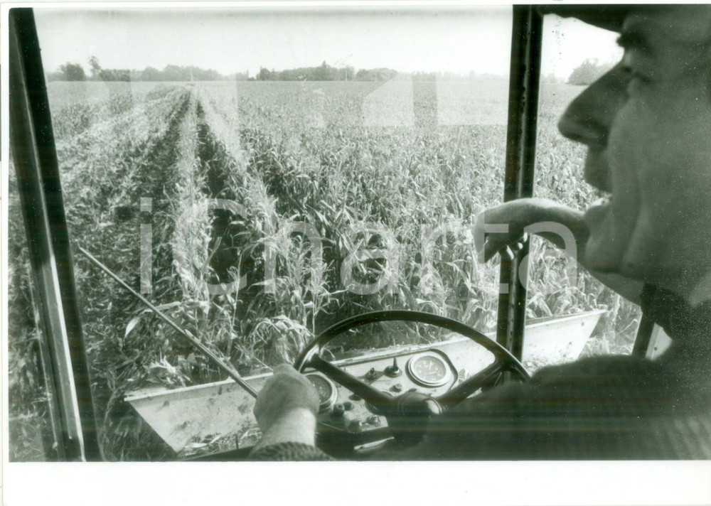 Fotografia d epoca originale 1984 BOSSENDORF FRANCE Raccolta del mais con il trattore Fotografia 1