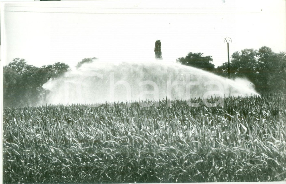 Fotografia d epoca originale 1985 FRANCE Irrigazione di un campo di mais Fotografia 1