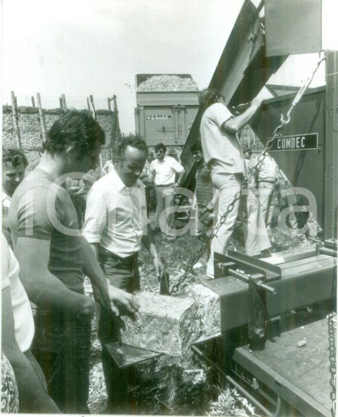 Fotografia d epoca originale 1982 BOSSENDORF FRANCE Realizzazione blocchi di feino COMDEC Fotografia 1