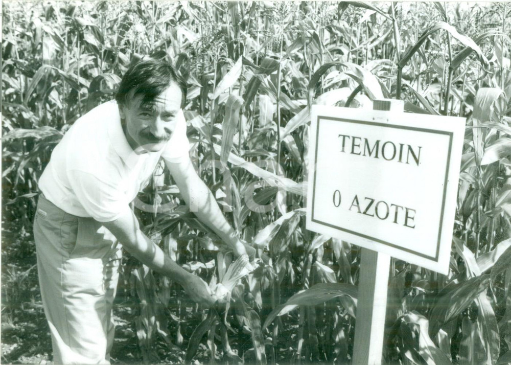 Fotografia d epoca originale 1990 BOSSENDORF FRACE Coltivazione del mais ad azoto 0 Fotografia 1