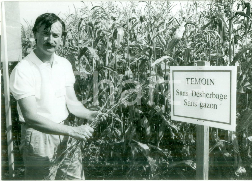 Fotografia d epoca originale 1990 BOSSENDORF FRANCE Contadino coltiva mais senza diserbanti Fotografia 1