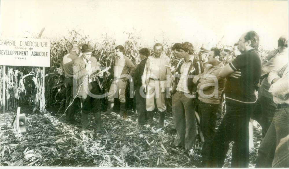 Fotografia d epoca originale 1981 BOSSENDORF FRANCE Conferenza su campo di mais per sviluppo agricolo Foto 1