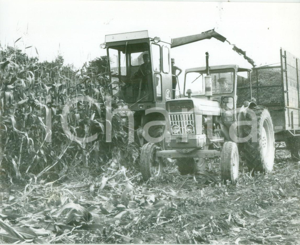 Fotografia d epoca originale 1981 BOSSENDORF FRANCE Raccolta mais con trattore FORD Fotografia 1