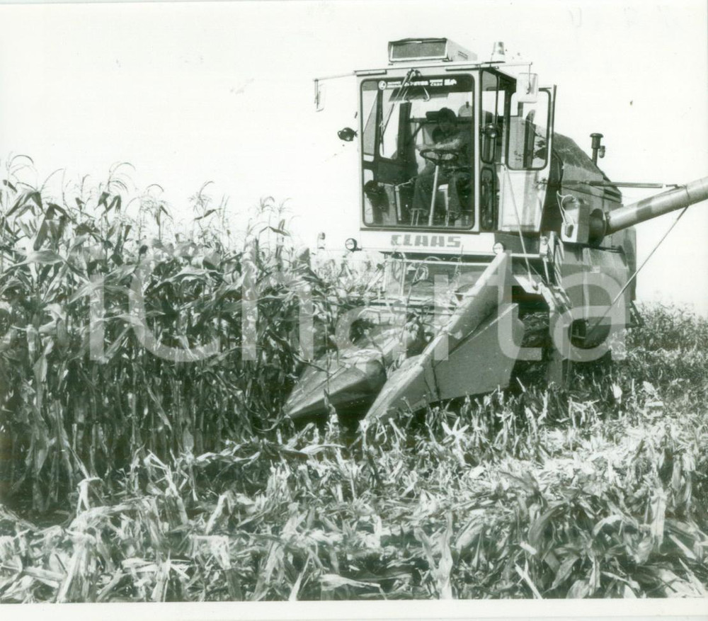 Fotografia d epoca originale 1980 BOSSENDORF FRANCE Raccolta mais con mietitrice CLAAS Fotografia 1