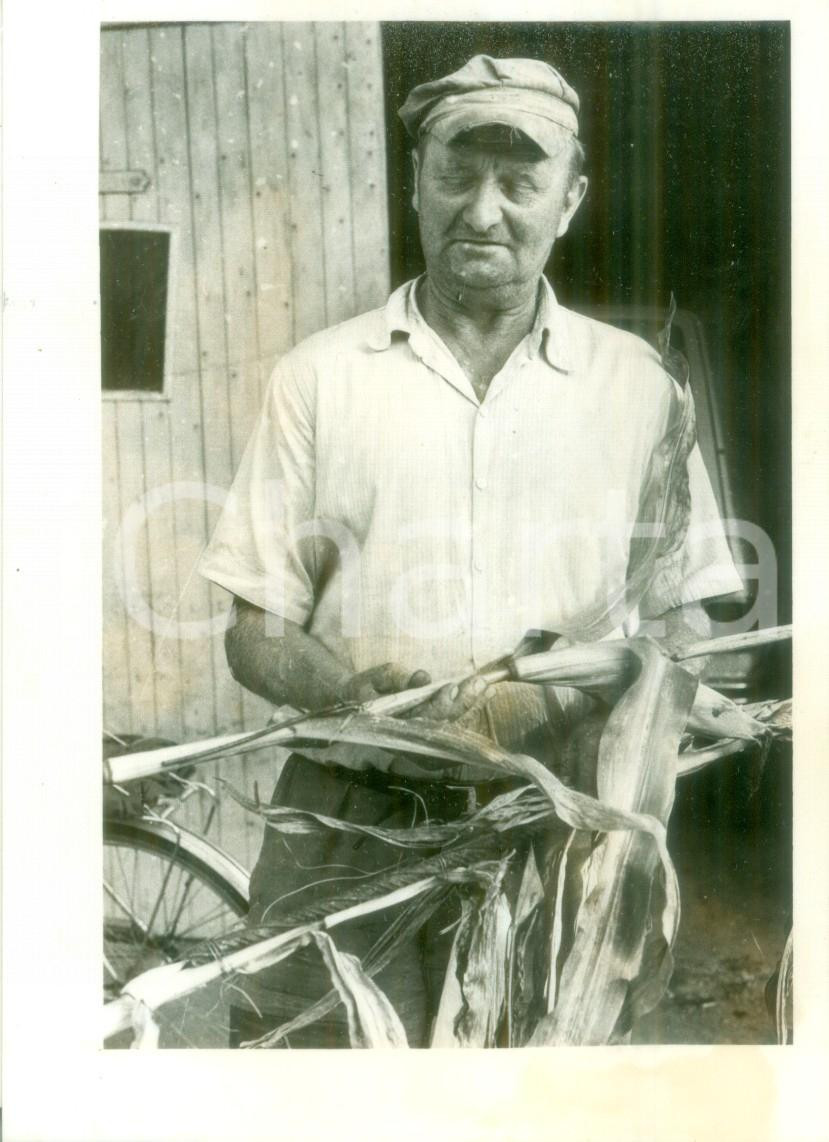 Fotografia d epoca originale 1980 ca BOSSENDORF FRANCE Contadino durante raccolta del mais Fotografia 1