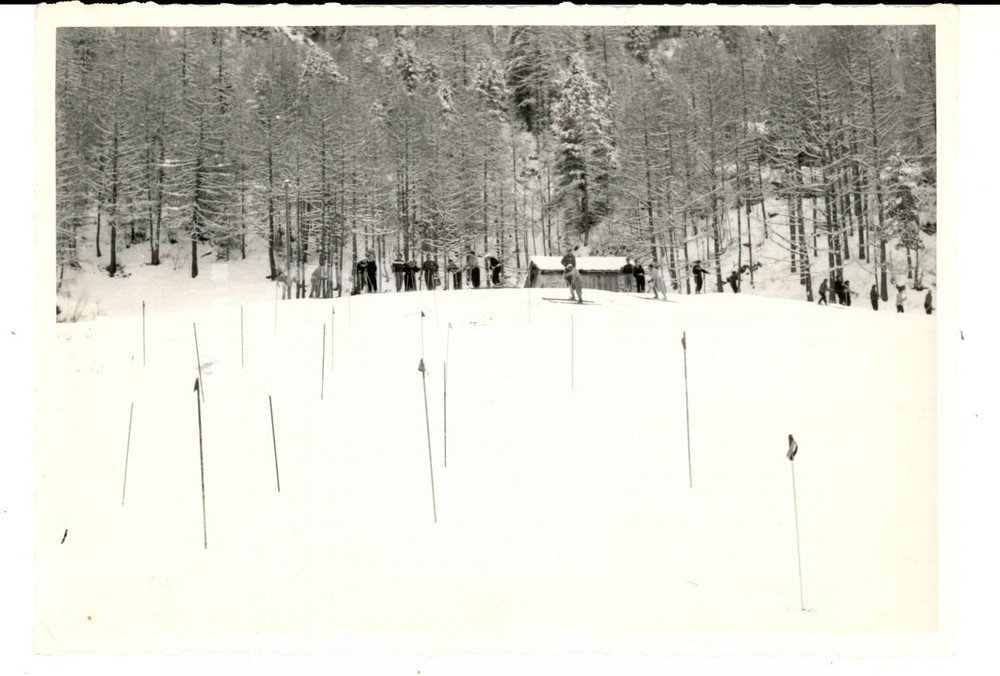 Fotografia d epoca originale 1950 ca SWITZERLAND Campionati SCI DI FONDO Atleti si allenano nello slalom Foto 1