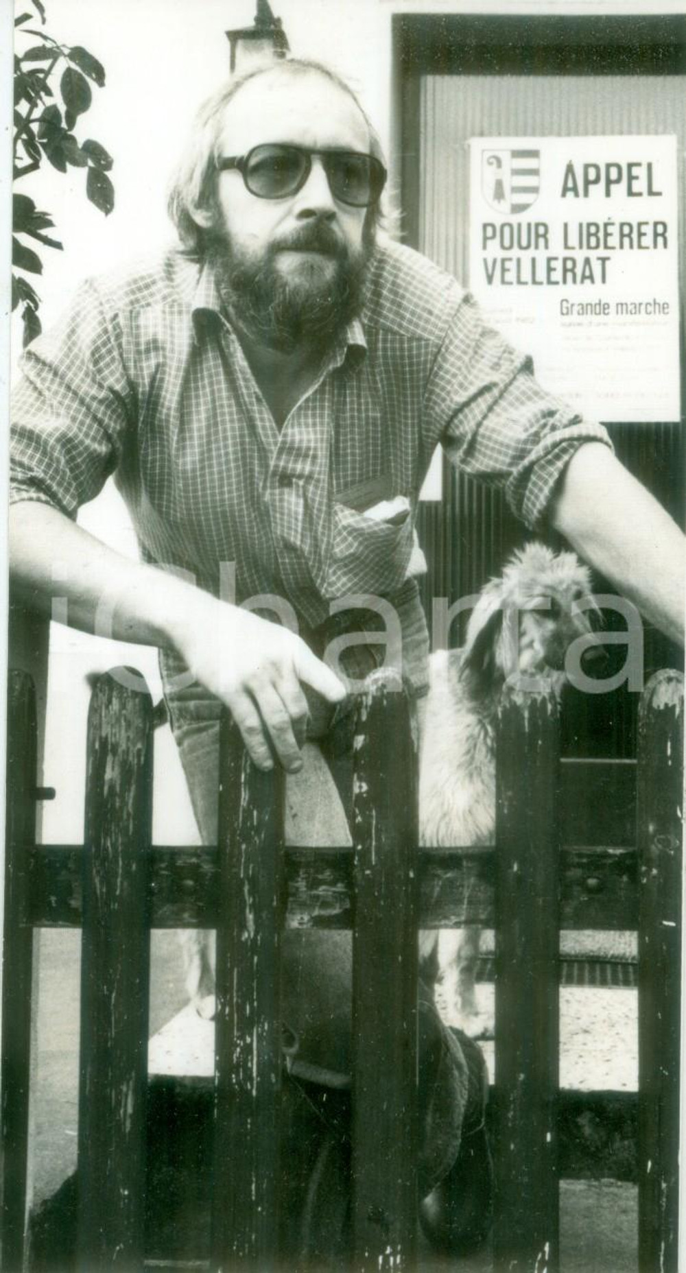 Fotografia d epoca originale 1982 VELLERAT SVIZZERA Manifestante per la liberazione Foto cm 9 x 17 1