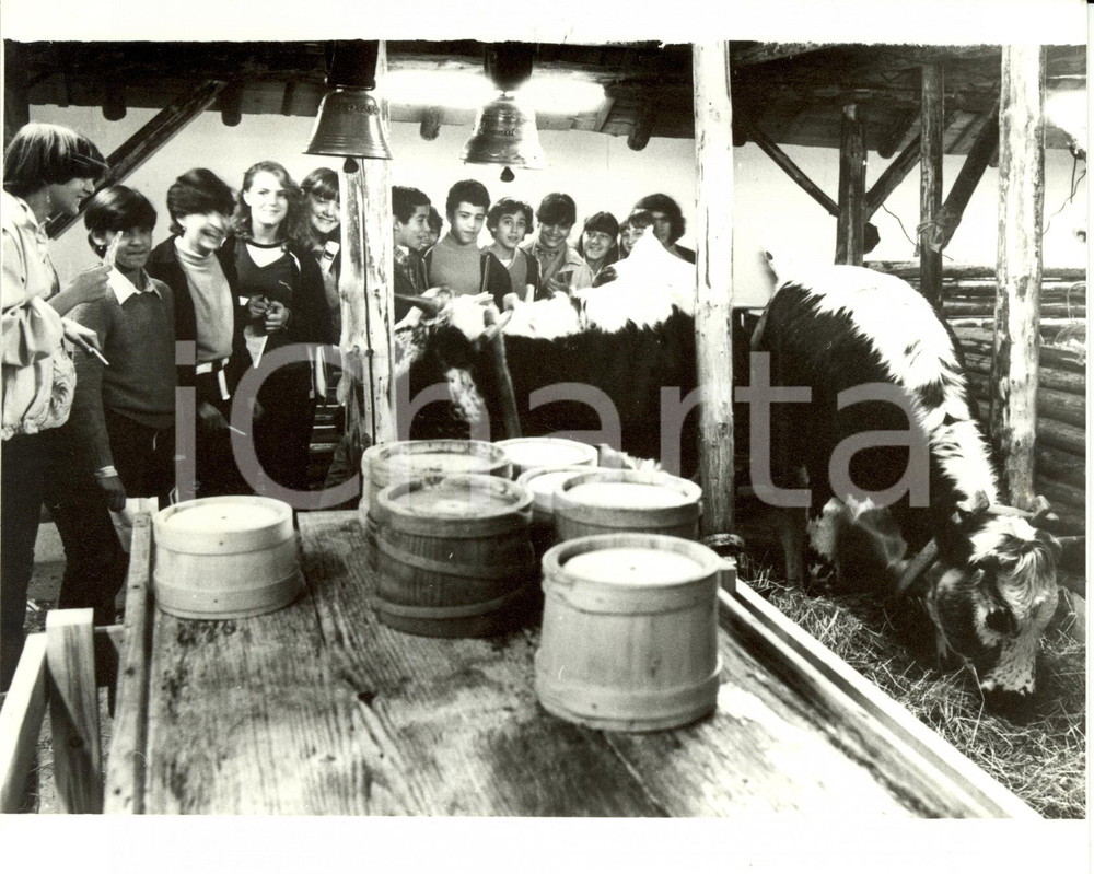 Fotografia d epoca originale 1980 MULHOUSE F Giornate di Ottobre  Scolaresca padiglione allevamento Foto 1