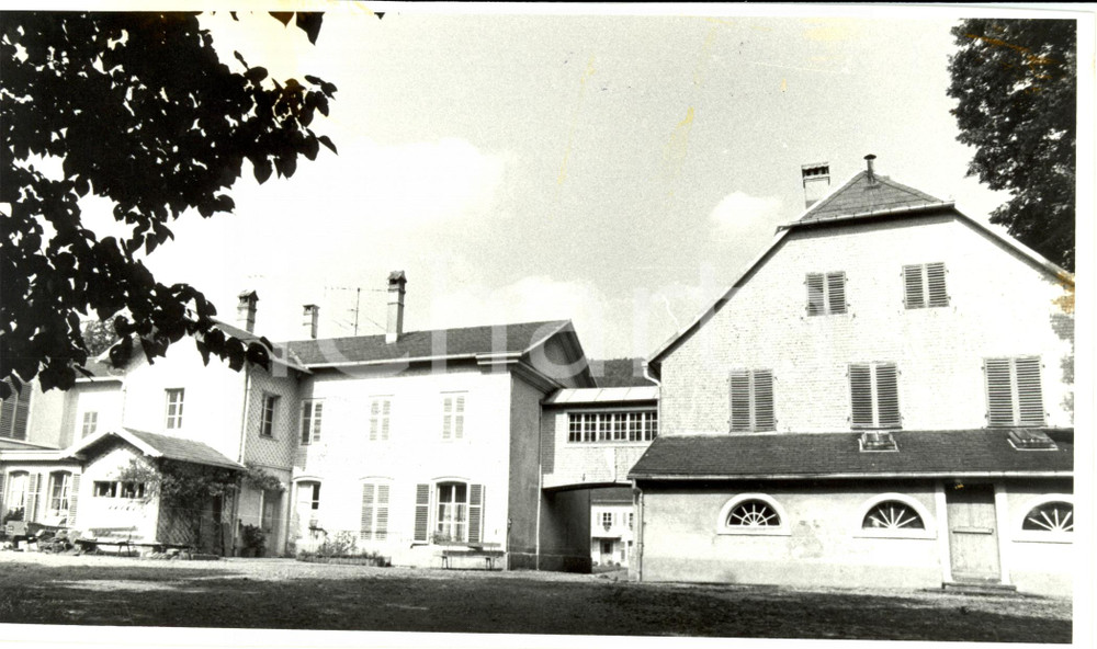 Fotografia d epoca originale 1985 ca HUSSERENWESSERLING F Antica manifattura all interno del parco Foto 1